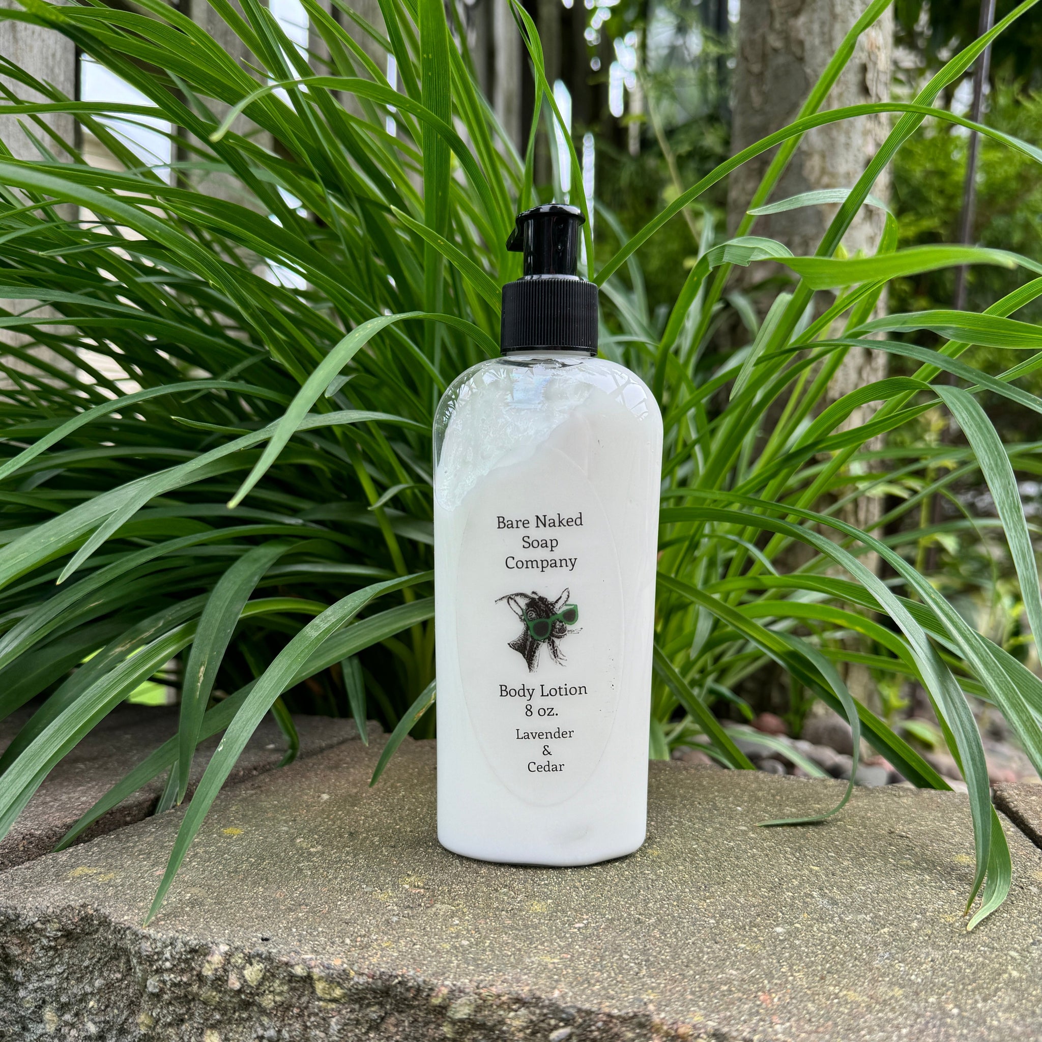 8 oz. Body Lotion - Lavender & Cedar