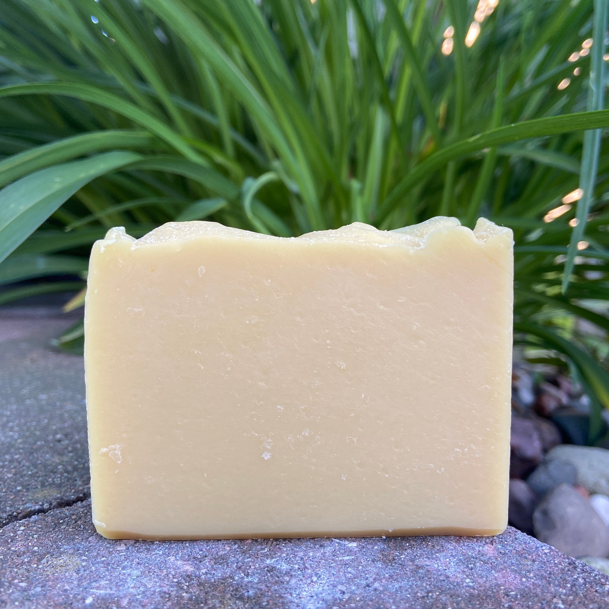 Tobacco & Bay Leaf Goat Milk Soap