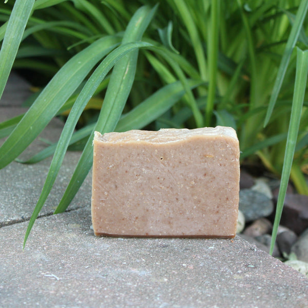 A light brown Ginger and Lime bar of soap placed on a stone surface with green leaves in the background.