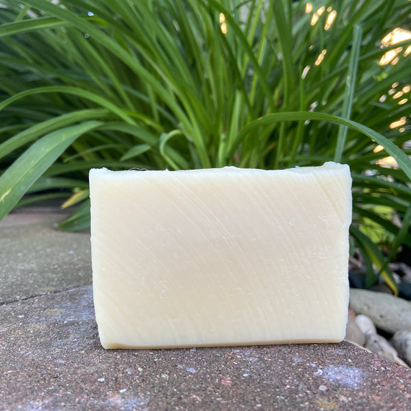 A bar of natural goat milk soap placed on a stone surface with green plants in the background.