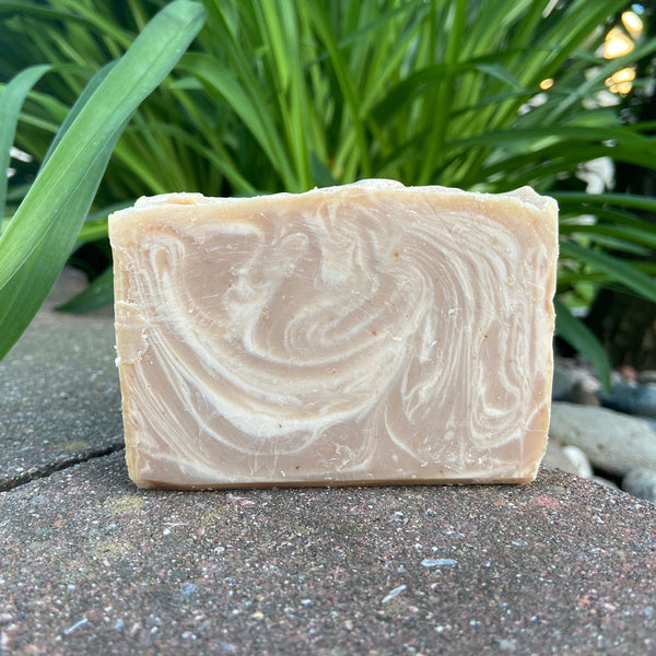 A bar of goat milk soap with a swirl pattern design, placed on a stone surface with foliage in the background.