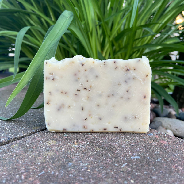 A bar of goat milk soap with a speckled texture, placed on a stone surface with green plants in the background.