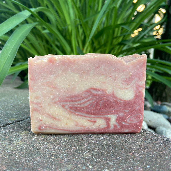 A bar of Teakwood & Cardamom Goat Milk Soap placed on a concrete surface with a green plant in the background.